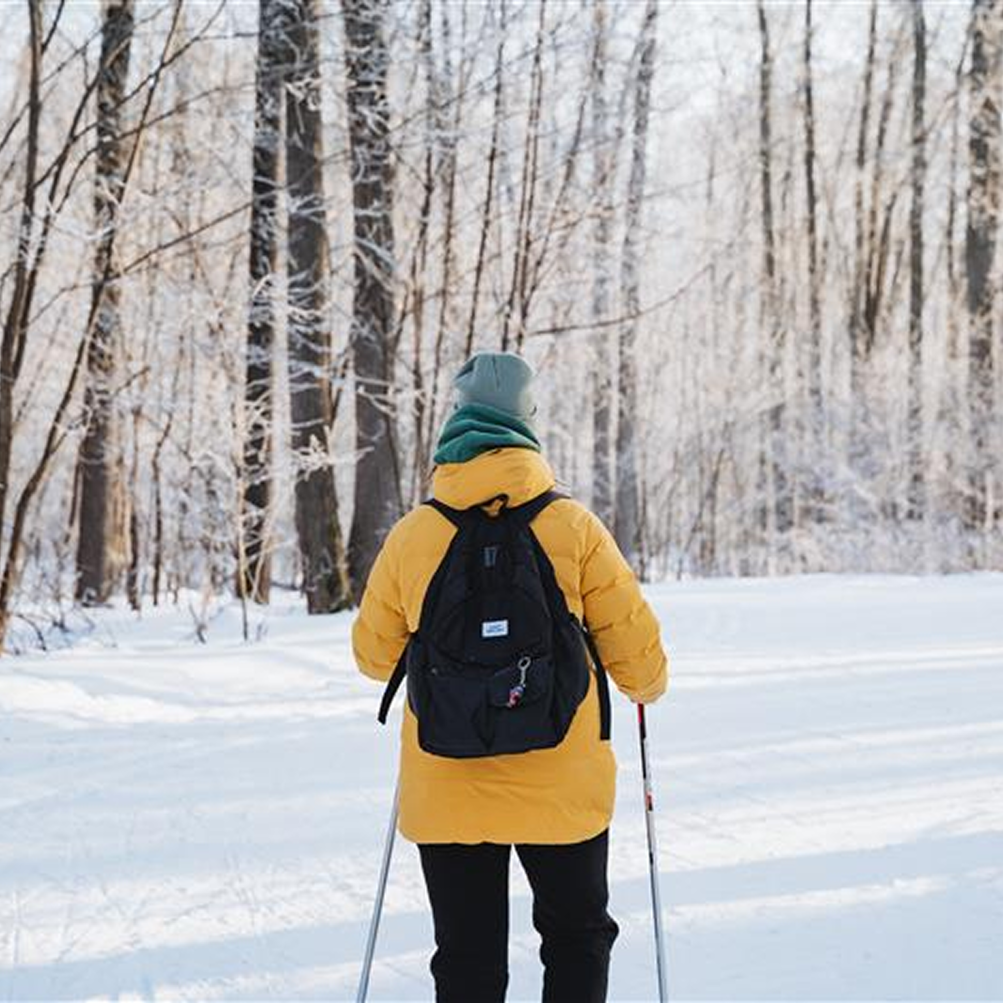 Winter Essentials
